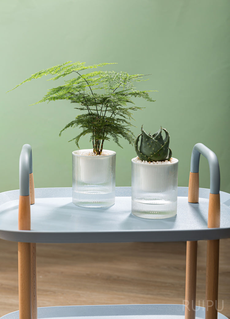 Nordic Plant Pot Collection